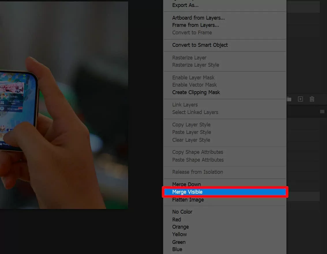 Gộp tất cả các layer đang hiển thị.