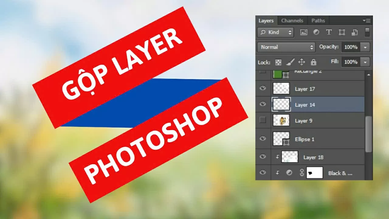 Cách gộp Layer trong Photoshop nhanh chóng và dễ thực hiện.