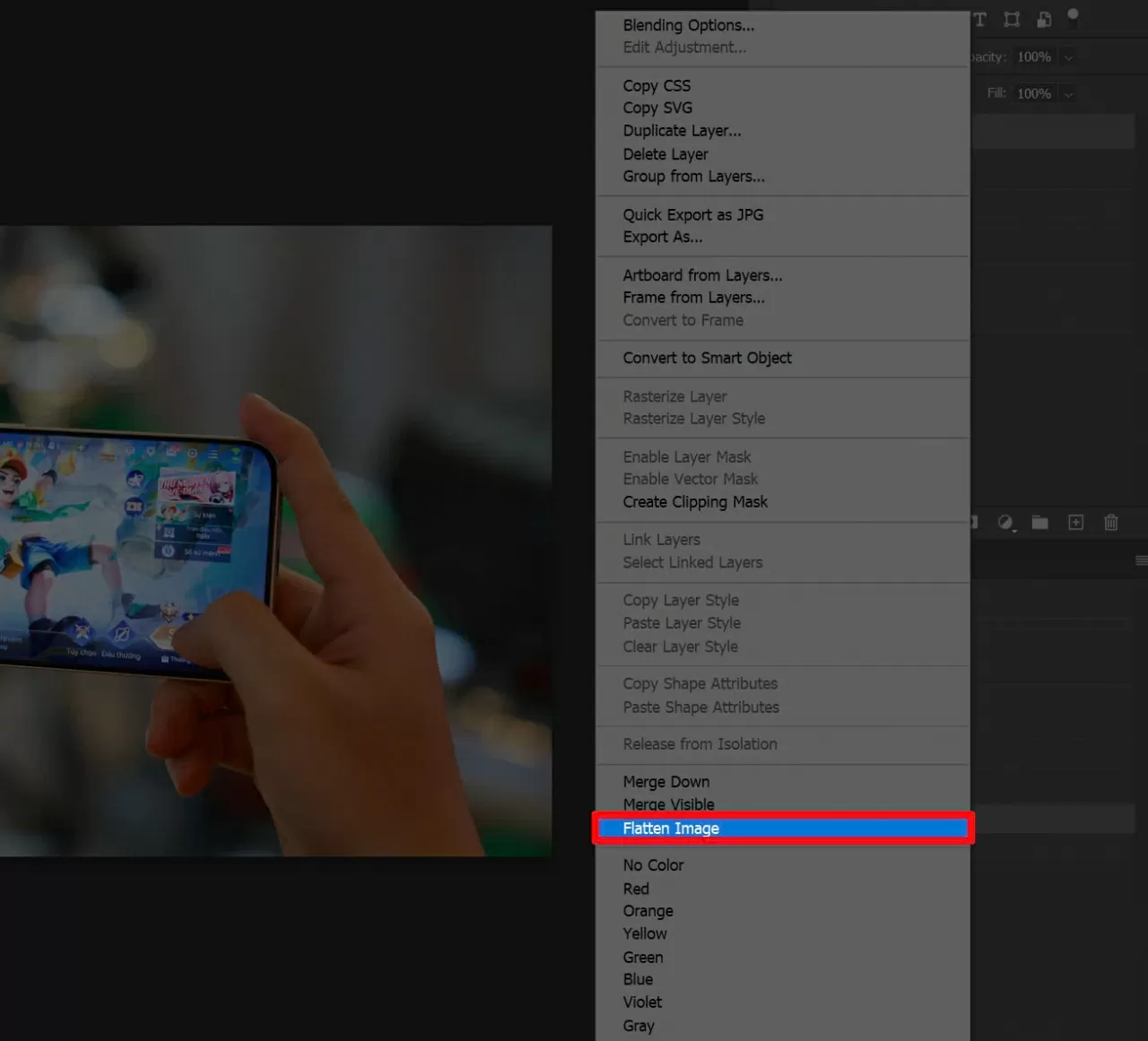 Gộp toàn bộ các layer, kể cả layer ẩn. Gộp toàn bộ các layer, kể cả layer ẩn.