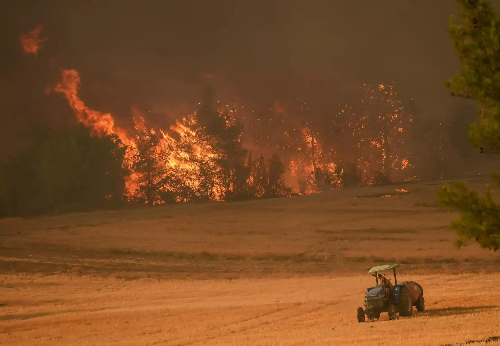 ảnh ấn tượng July 27