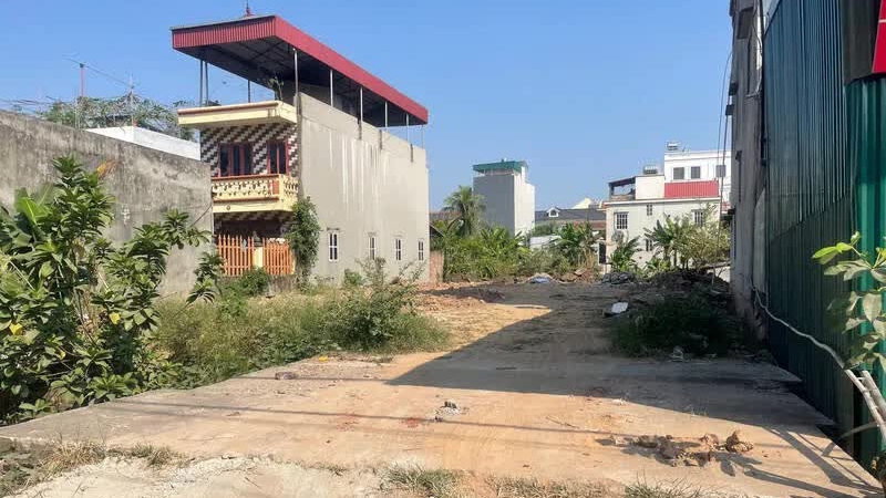 Thị trường bất động sản 6 tháng đầu năm 2025: Đất nền hạ nhiệt, bước vào giai đoạn thận trọng