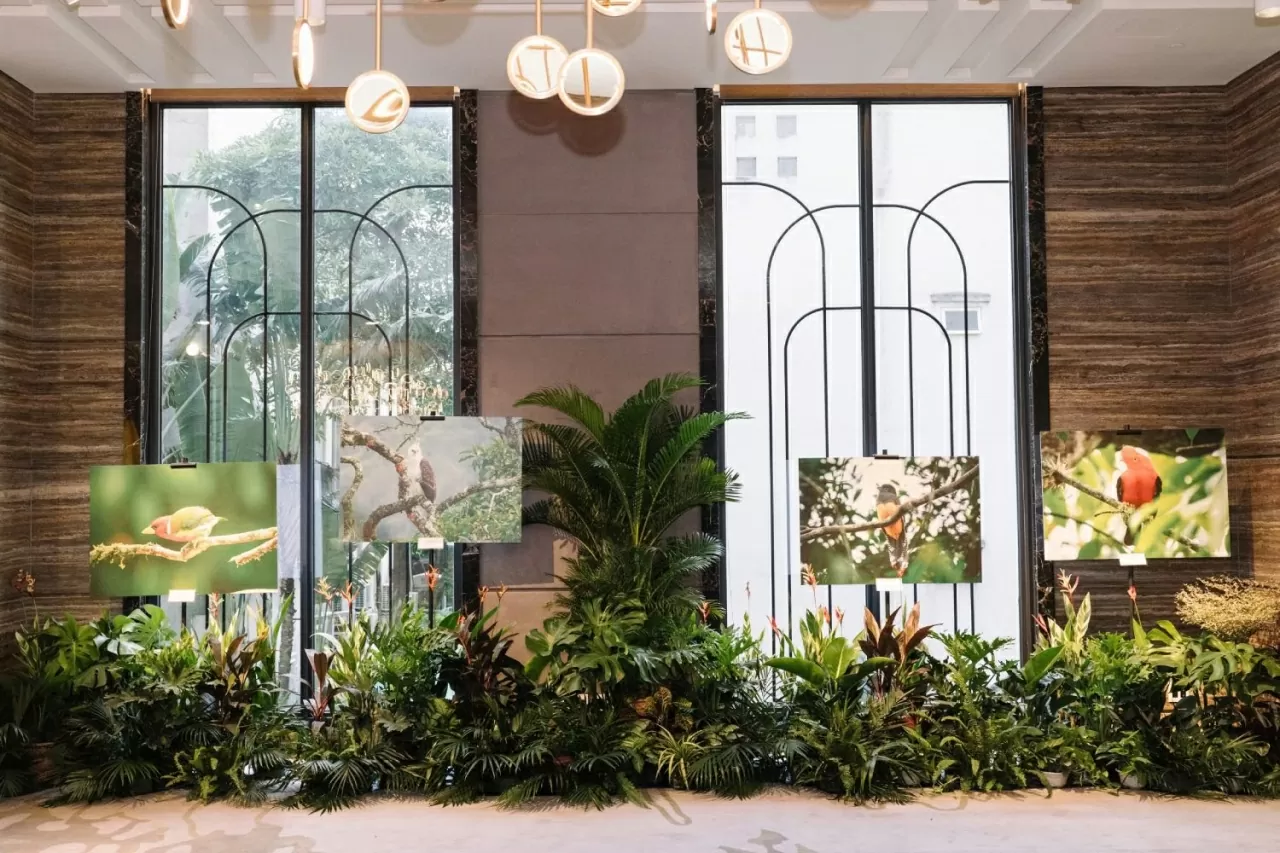 Thứ trưởng Ngoại giao Lê Thị Thu Hằng: Nhiều tiềm năng hợp tác Việt Nam-Colombia chưa được khai thác hết