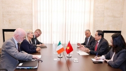 Ireland sẽ tiếp tục thúc đẩy hợp tác thương mại, đầu tư, giáo dục đào tạo với Việt Nam