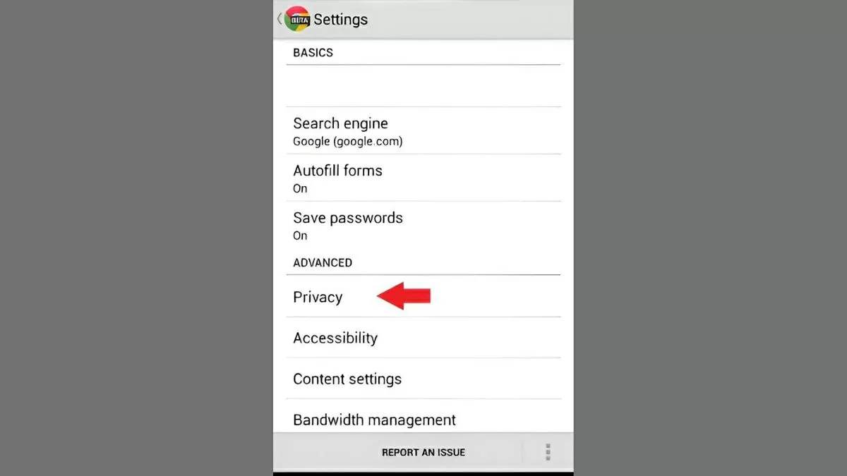Mở ứng dụng Google Chrome trên điện thoại 