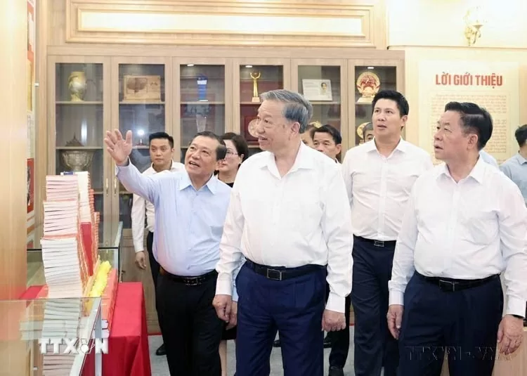 Lá chắn mềm trên mặt trận số