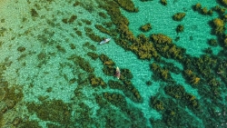 ‘Hẹn hò’ với biển xanh Vĩnh Hy