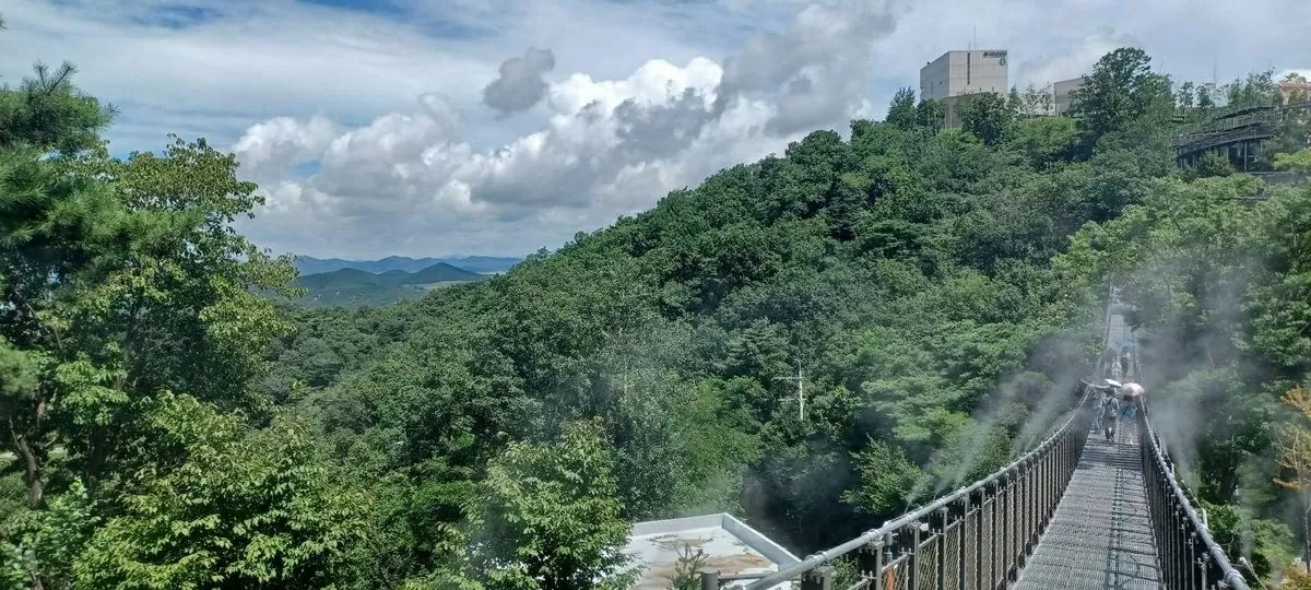 Cửa hàng Starbucks gần biên giới Triều Tiên: Điểm đến đặc biệt của du khách