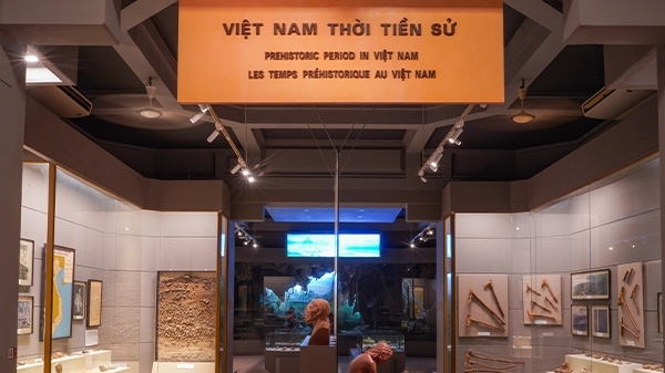 Nhiều bảo tàng mở cửa miễn phí mừng Quốc khánh 2/9