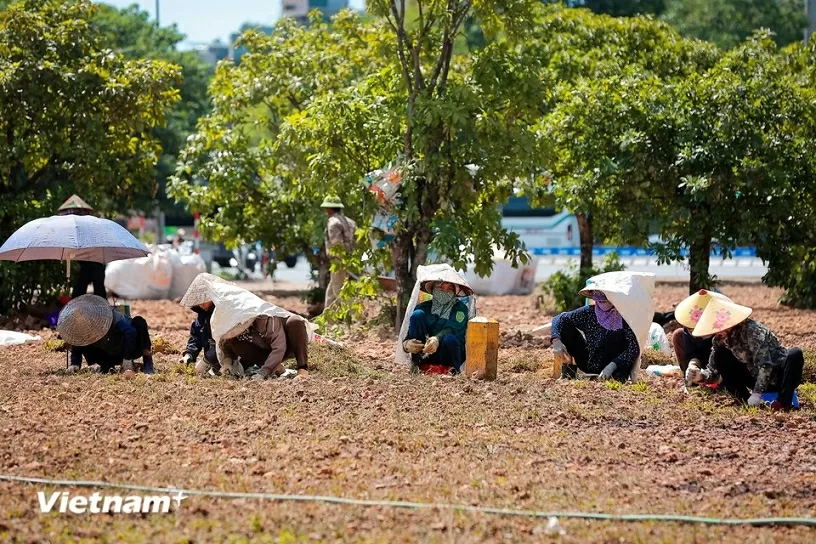 Người dân di chuyển trên đường phố như đổ lửa giữa nắng nóng Hà Nội