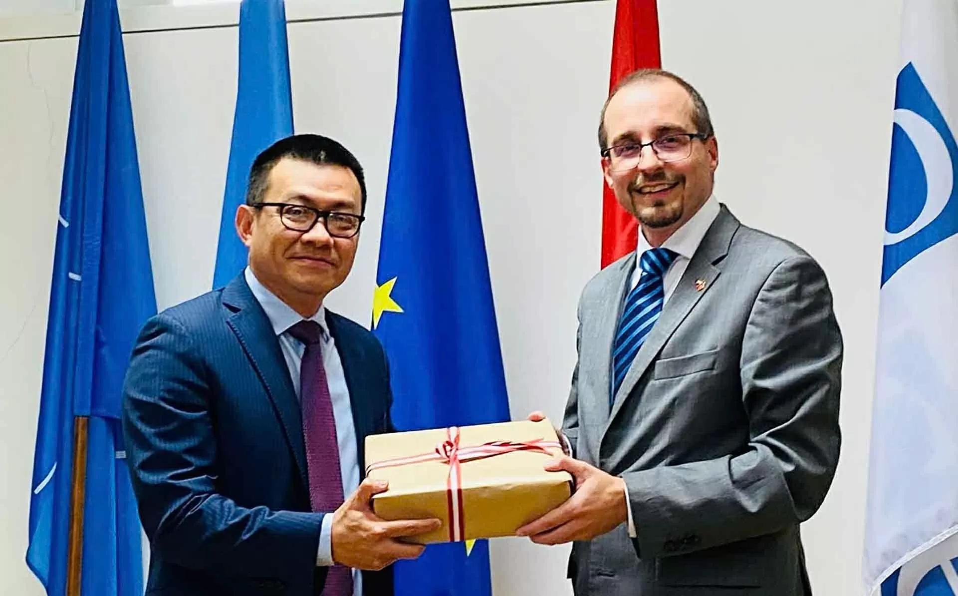 Thúc đẩy hợp tác quốc phòng Việt Nam-Áo vì hòa bình, phát triển