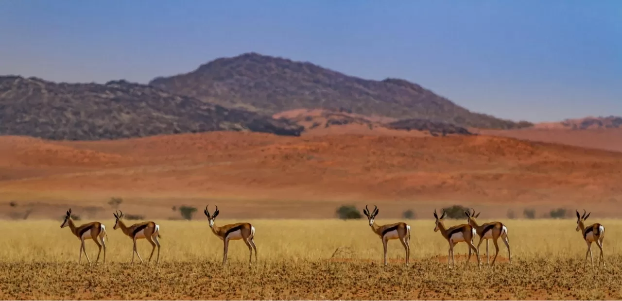 Du lịch Angola: Những điểm đến nhất định phải ghé thăm Du lịch Angola: Những điểm đến nhất định phải ghé thăm