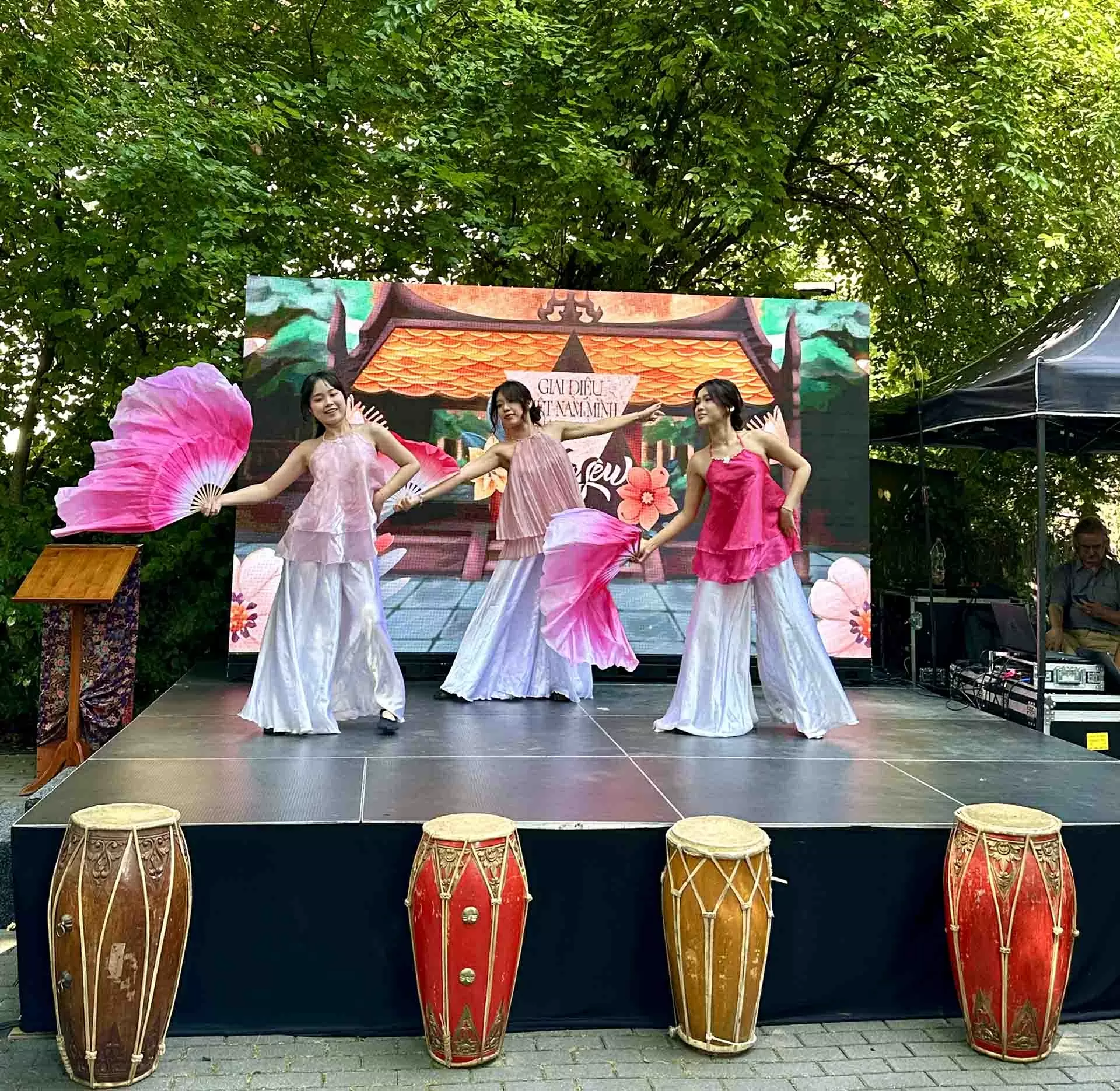 Kỷ niệm 58 năm thành lập ASEAN tại Hungary: Gắn kết cộng đồng, tôn vinh bản sắc