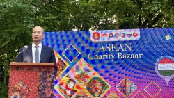 Kỷ niệm 58 năm thành lập ASEAN tại Hungary: Gắn kết cộng đồng, tôn vinh bản sắc