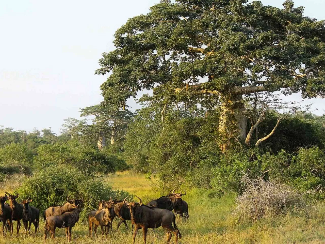Du lịch Angola: Những điểm đến nhất định phải ghé thăm