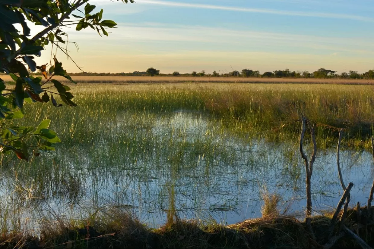 Du lịch Angola: Những điểm đến nhất định phải ghé thăm Du lịch Angola: Những điểm đến nhất định phải ghé thăm