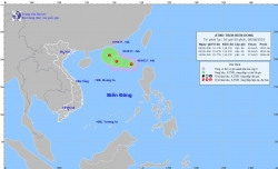 Áp thấp nhiệt đới trên vùng biển phía Đông khu vực Bắc Biển Đông, mưa giông mạnh, sóng cao 2-3m