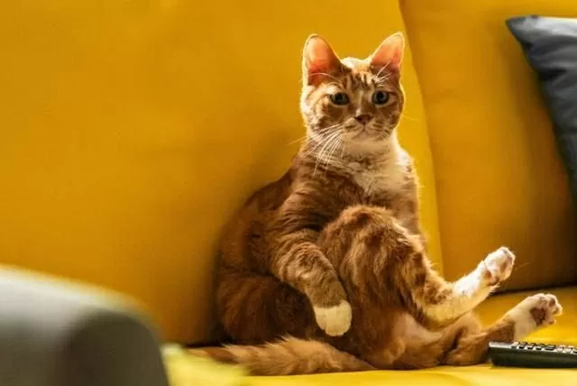 My daughter is a zombie thổi luồng sinh khí mới vào phòng vé mùa Hè ở Hàn Quốc