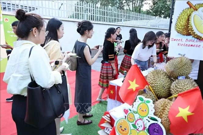 Gian hàng sầu riêng của Việt Nam thu hút nhiều người dân Bắc Kinh tham quan, thưởng thức. Sầu riêng Việt Nam ghi dấu ấn tại Lễ hội sầu riêng ASEAN-Trung Quốc