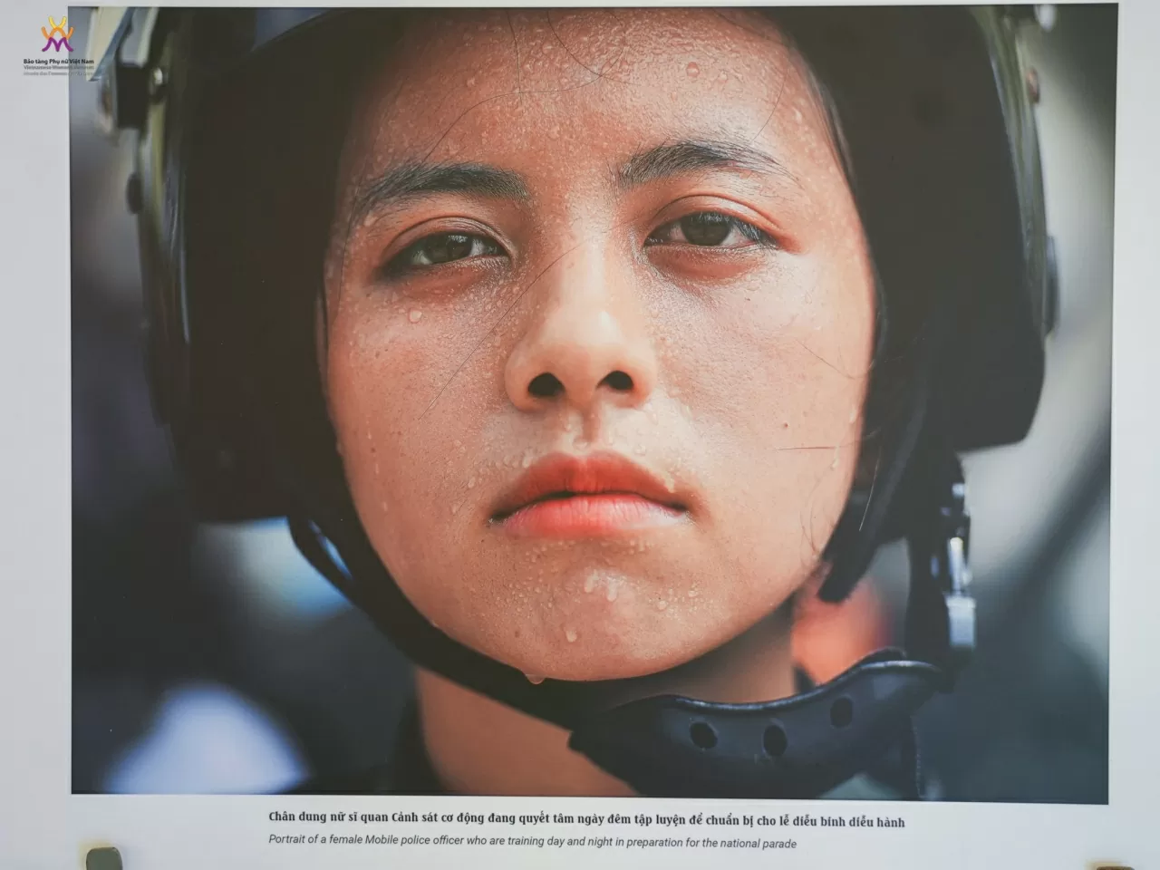 Chiêm ngưỡng sách ảnh sách ảnh “50 năm sức mạnh Việt Nam” và “Thành phố hòa bình Chiêm ngưỡng sách ảnh sách ảnh “50 năm sức mạnh Việt Nam” và “Thành phố hòa bình