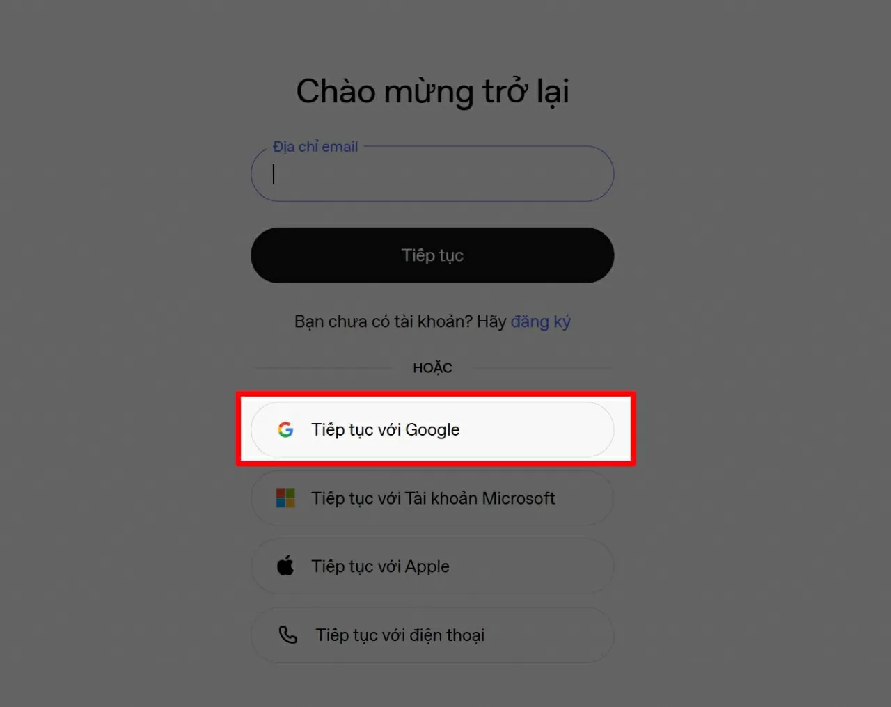 Chọn đăng nhập bằng Google hoặc nhập địa chỉ email 