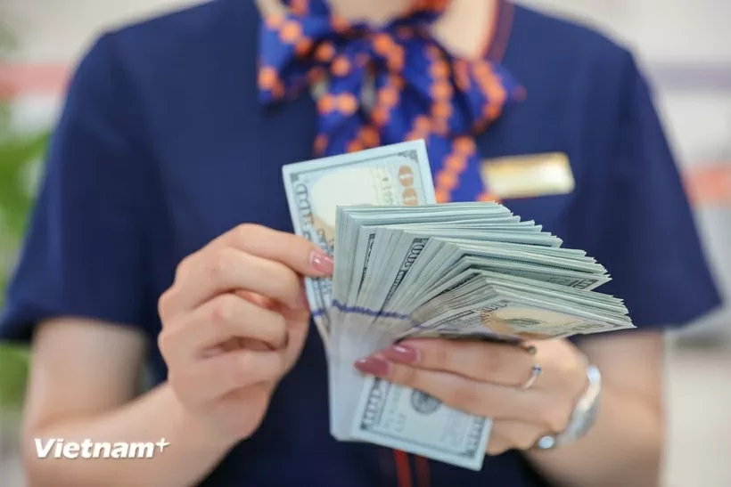 The daily reference exchange is at 25,247 VND/USD on August 13. (Photo: VNA)