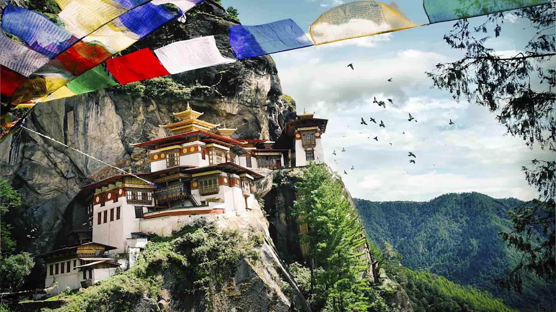 Hạnh phúc xanh trên dãy Himalaya