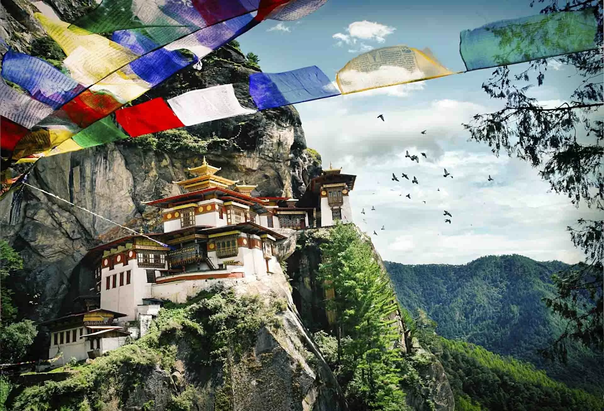 Hạnh phúc xanh trên dãy Himalaya