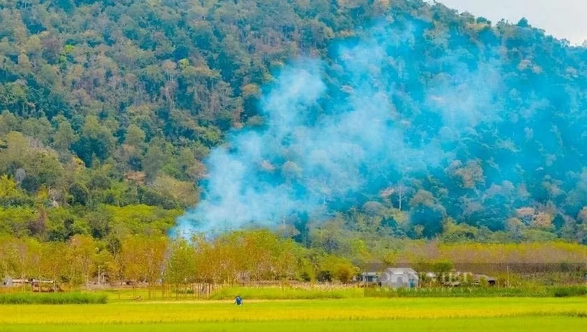 Đồng Nai mới: Tiềm năng du lịch từ sự hội tụ văn hóa – thiên nhiên Đồng Nai mới: Tiềm năng du lịch từ sự hội tụ văn hóa – thiên nhiên