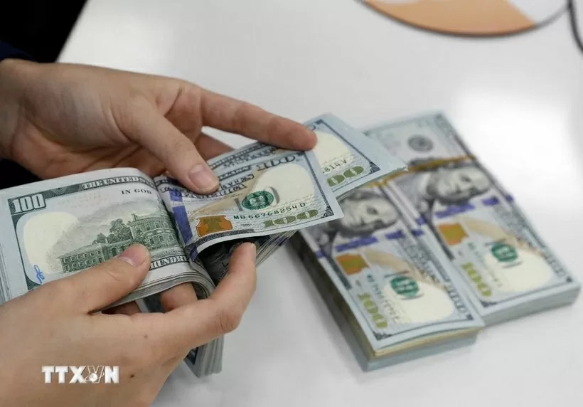 (Nguồn: TTXVN) (Nguồn: TTXVN)