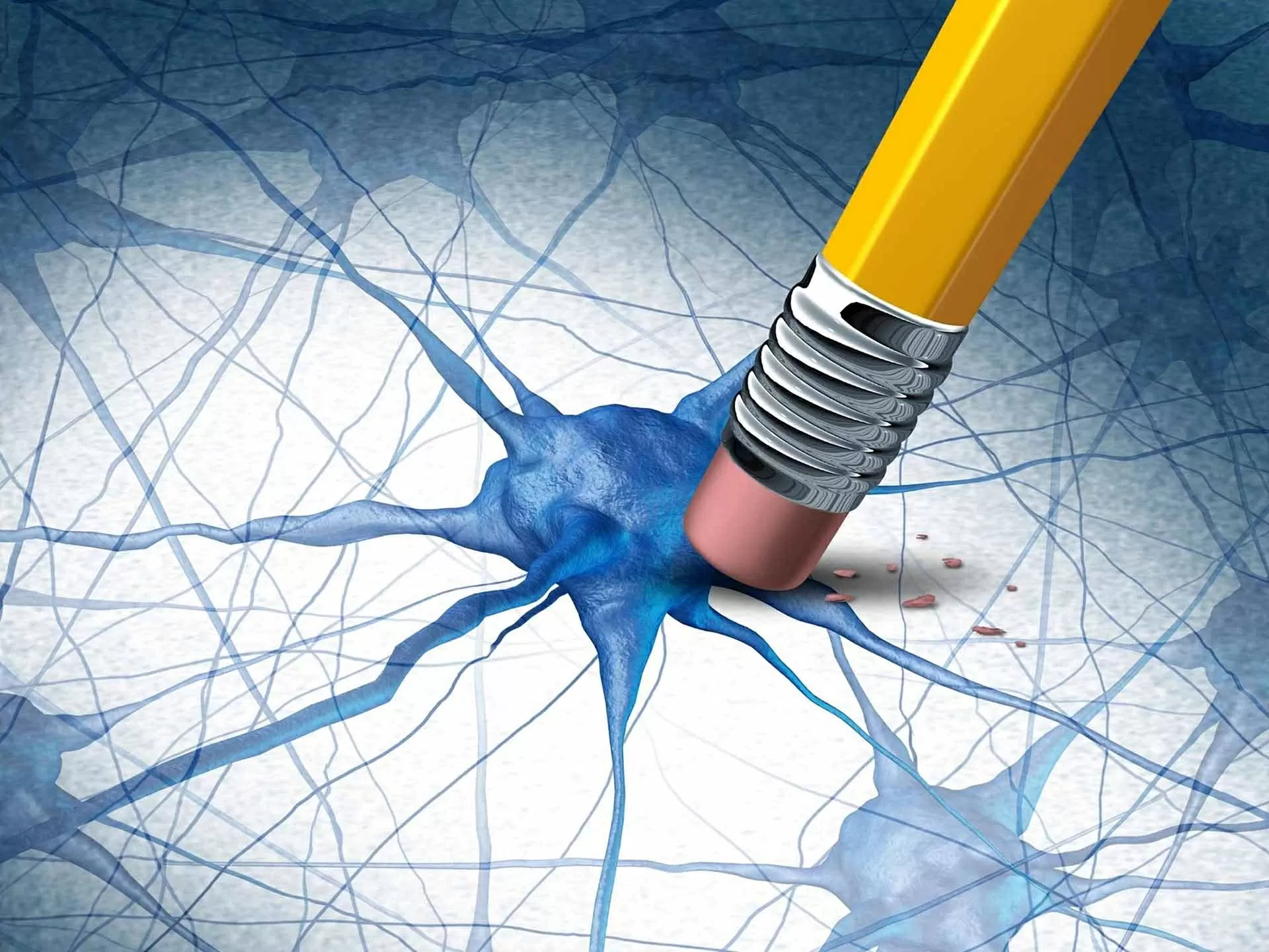 Hai hợp chất tự nhiên mở hướng mới điều trị Alzheimer Hai hợp chất tự nhiên mở hướng mới điều trị Alzheimer