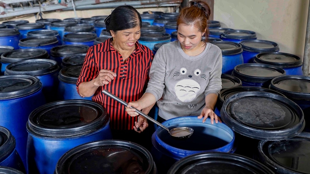 Phấn đấu đến hết năm 2027, Cà Mau không còn hộ gia đình chính sách khó khăn