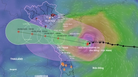 Hướng dẫn cập nhật thông tin bão số 5