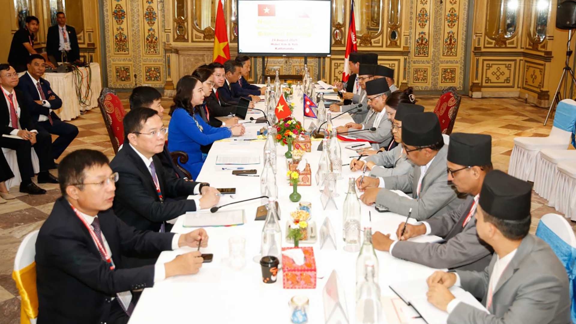 Phó Chủ tịch nước Võ Thị Ánh Xuân hội đàm với Phó Tổng thống Nepal