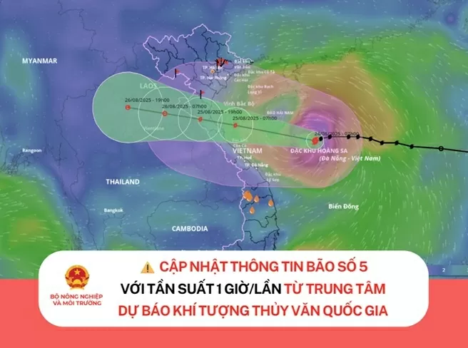 Hướng dẫn cập nhật thông tin bão số 5