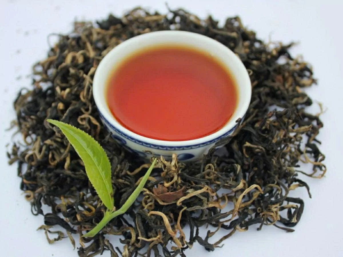 Mang hồn cốt núi rừng Tây Bắc vào giấc mơ trà Việt đi khắp thế giới
