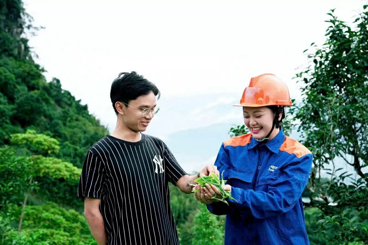 Mang hồn cốt núi rừng Tây Bắc vào giấc mơ trà Việt đi khắp thế giới