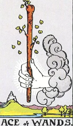 Bài tarot hôm nay 1/9: Tình cảm của bạn với người yêu hiện tại ra sao? Bài tarot hôm nay: