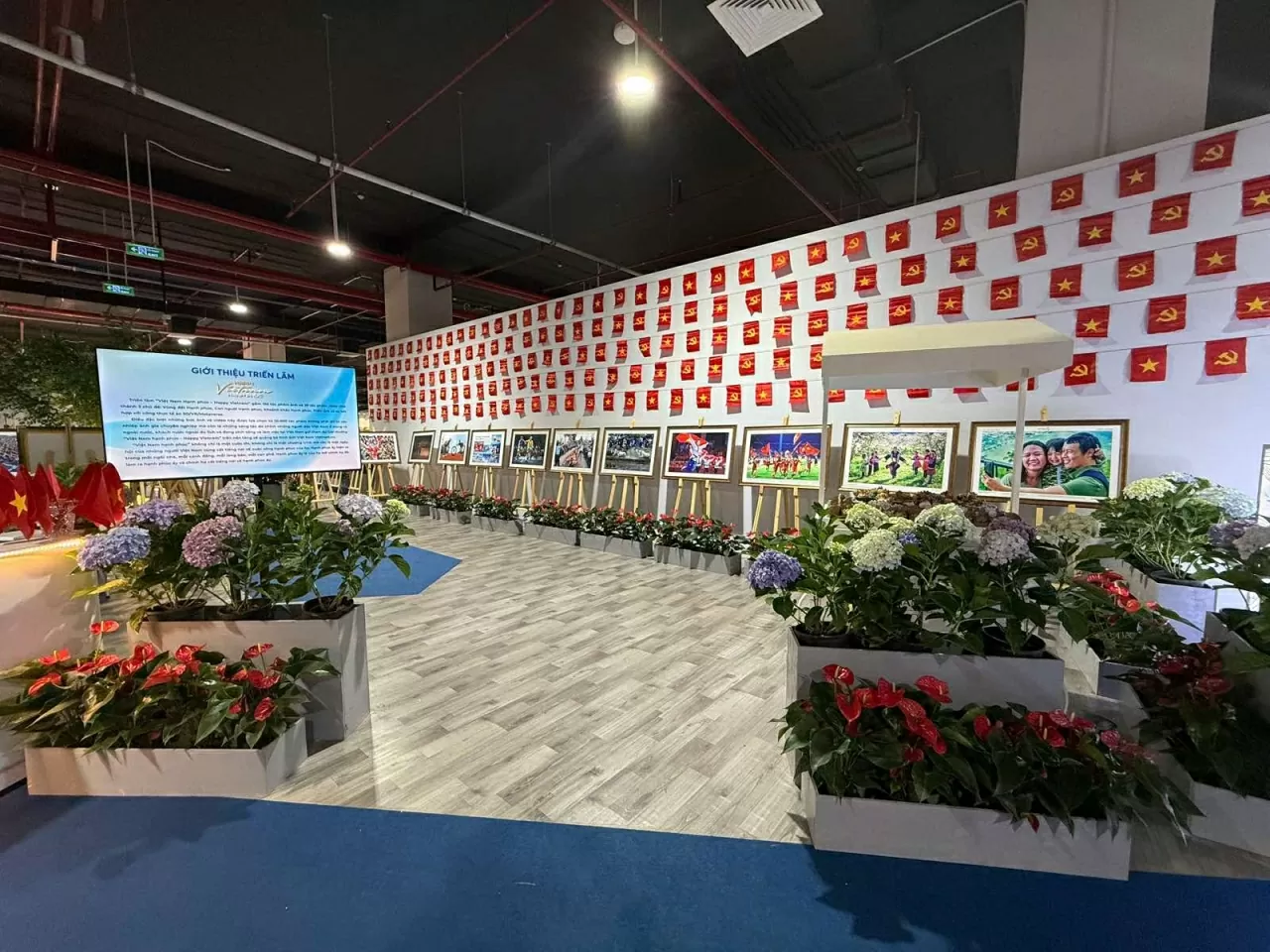 Triển lãm ảnh và video lan tỏa hạnh phúc từ những điều bình dị