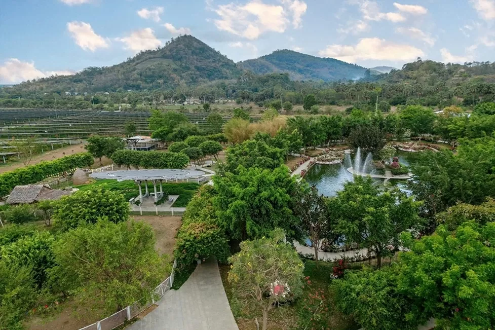 Khám phá 'Đất kép' - An Hảo Solar Farm