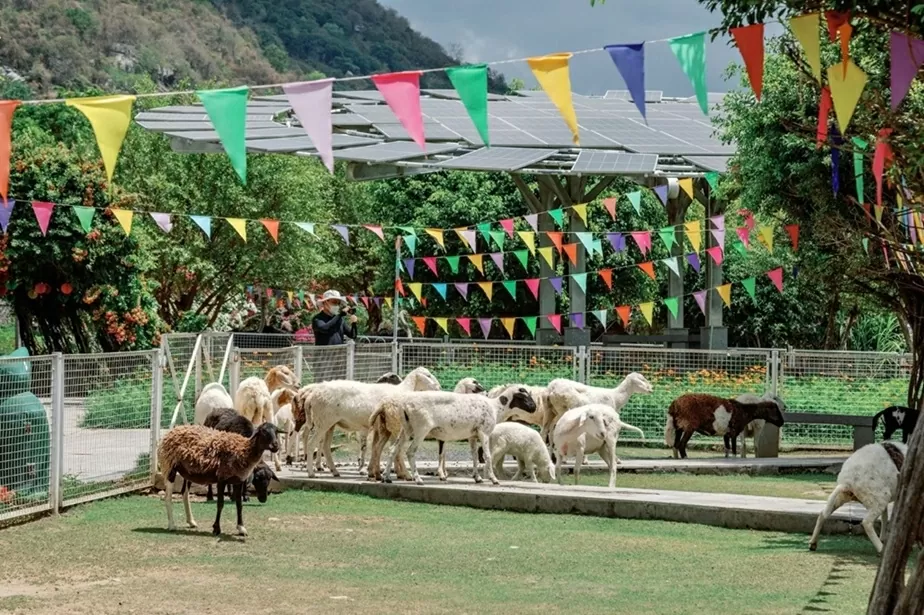 Khám phá 'Đất kép' - An Hảo Solar Farm Khám phá 'Đất kép' - An Hảo Solar Farm