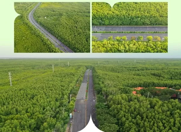 Kinh nghiệm cần biết khi chuẩn bị mua nhà Vinhomes Green Paradise Cần Giờ