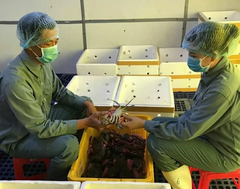 (Ảnh: Tào Đạt) (Ảnh: Tào Đạt)