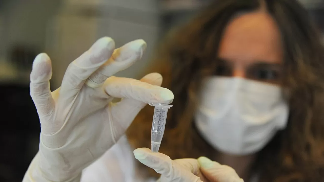 Nga ghi nhận ca sốt chikungunya nhập cảnh đầu tiên