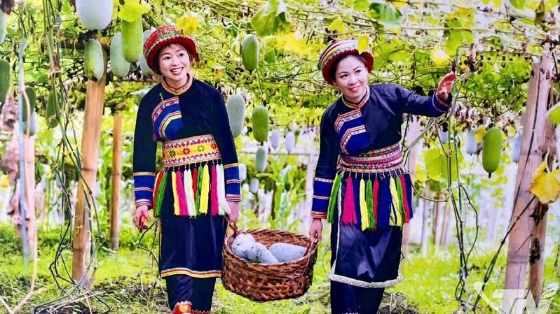 Thái Nguyên nâng tầm thương hiệu nông sản