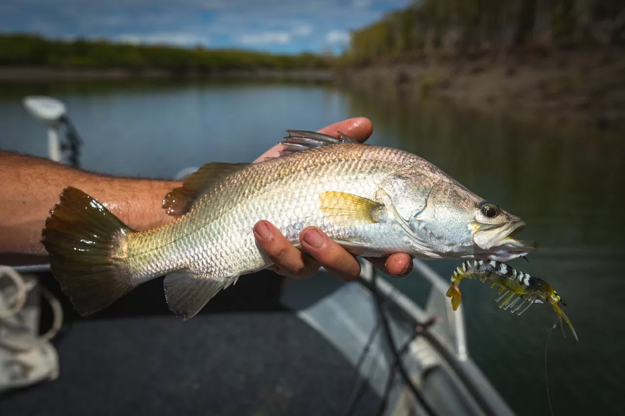 Thử nghiệm phụ gia thảo mộc cho nuôi trồng thủy sản bền vững Thử nghiệm phụ gia thảo mộc cho nuôi trồng thủy sản bền vững