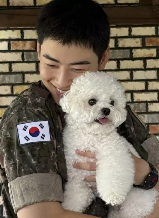 K-pop: Cha Eun-woo khiến fan tan chảy với khoảnh khắc hội ngộ cùng chú chó cưng K-pop: Cha Eun-woo khiến fan tan chảy với khoảnh khắc hội ngộ cùng chú chó cưng