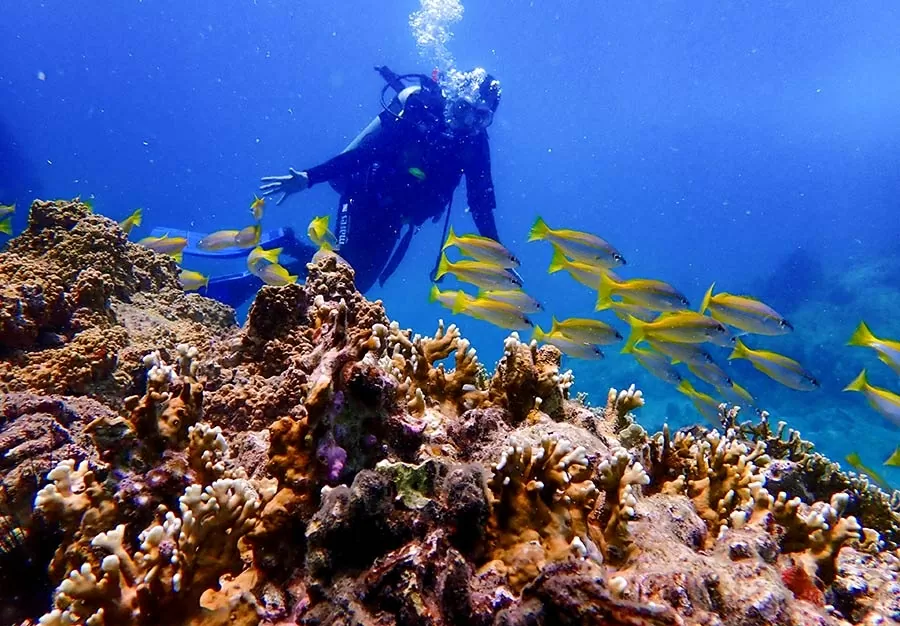 Việt Nam – thiên đường phiêu lưu mạo hiểm cho du khách quốc tế