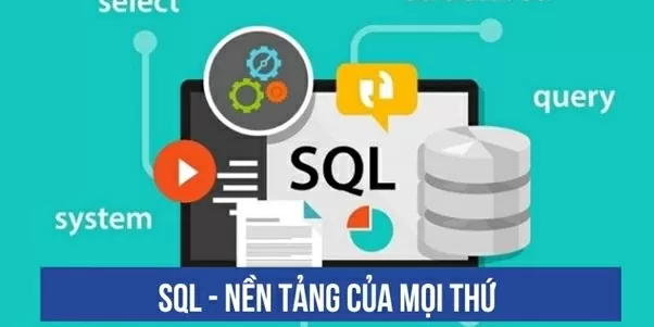 SQL, Python, Tableau: 'Bộ tam quyền lực' về kỹ năng dữ liệu giúp người Việt cạnh tranh toàn cầu