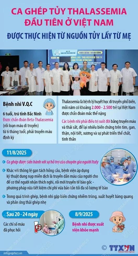Bệnh viện Trung ương Huế thực hiện thành công ca ghép tủy chữa bệnh tan máu bẩm sinh