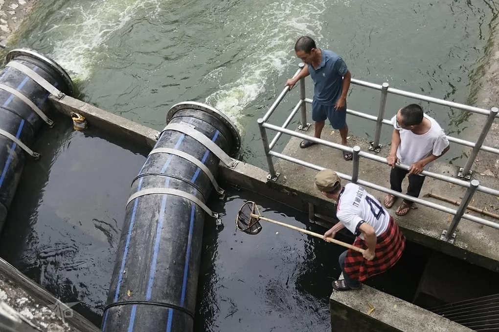 Sông Tô Lịch trong xanh trở lại